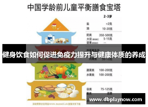 健身饮食如何促进免疫力提升与健康体质的养成