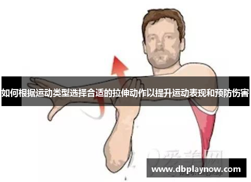 如何根据运动类型选择合适的拉伸动作以提升运动表现和预防伤害